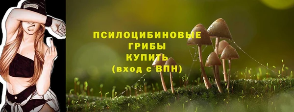 ПСИЛОЦИБИНОВЫЕ ГРИБЫ Пересвет