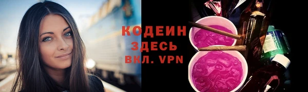 ПСИЛОЦИБИНОВЫЕ ГРИБЫ Пересвет