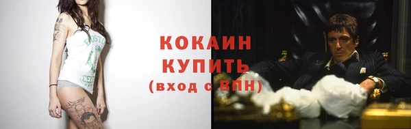 apvp Пестово