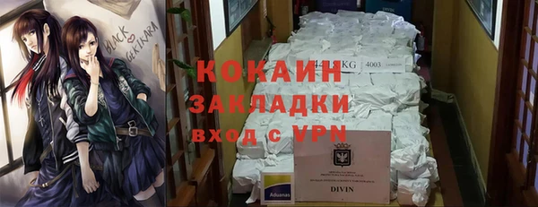 ПСИЛОЦИБИНОВЫЕ ГРИБЫ Пересвет