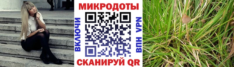 кракен как войти  Пугачёв  Псилоцибиновые грибы мицелий  где купить наркотик 
